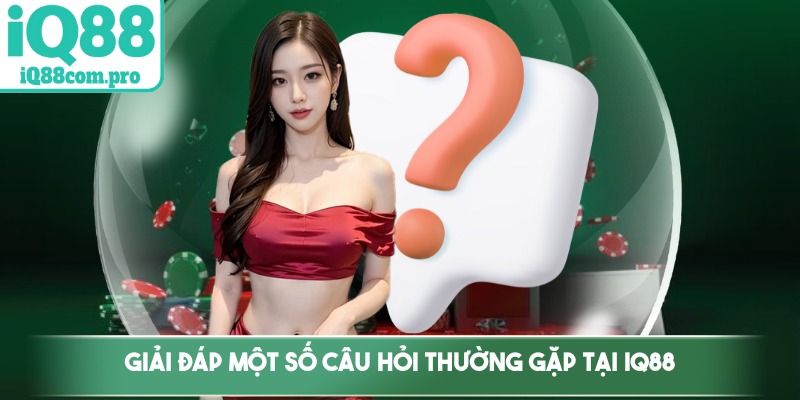Giải đáp một số câu hỏi cho hội viên an tâm tham gia trải nghiệm tại IQ88