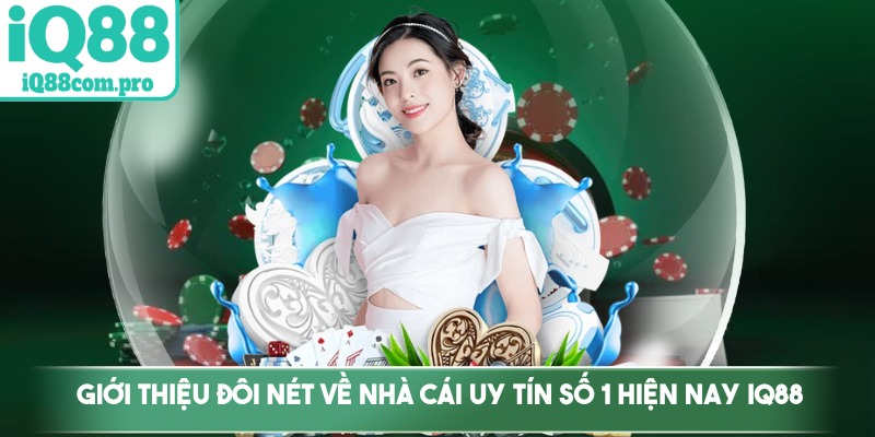 Giới thiệu đôi nét về nhà cái uy tín số 1 hiện nay IQ88