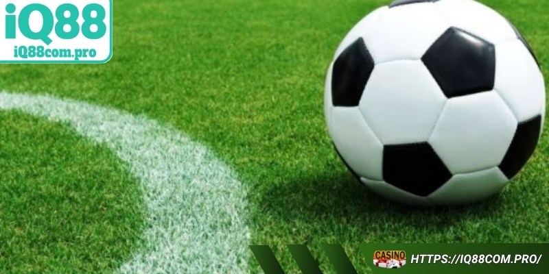 Tìm hiểu đôi nét về kèo chấp 0/0.5 là gì